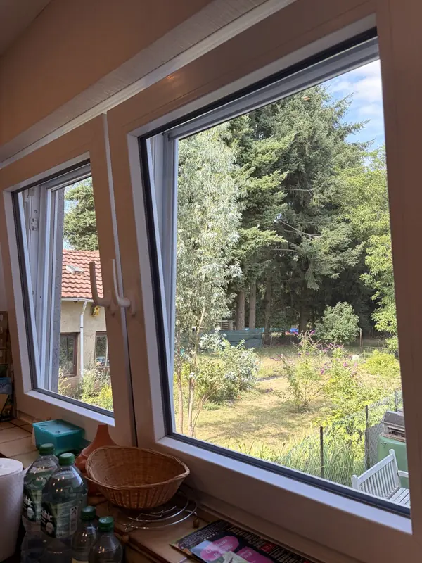 Blick aus dem Fenster auf den Garten und die Bäume rund um die Ferienwohnung